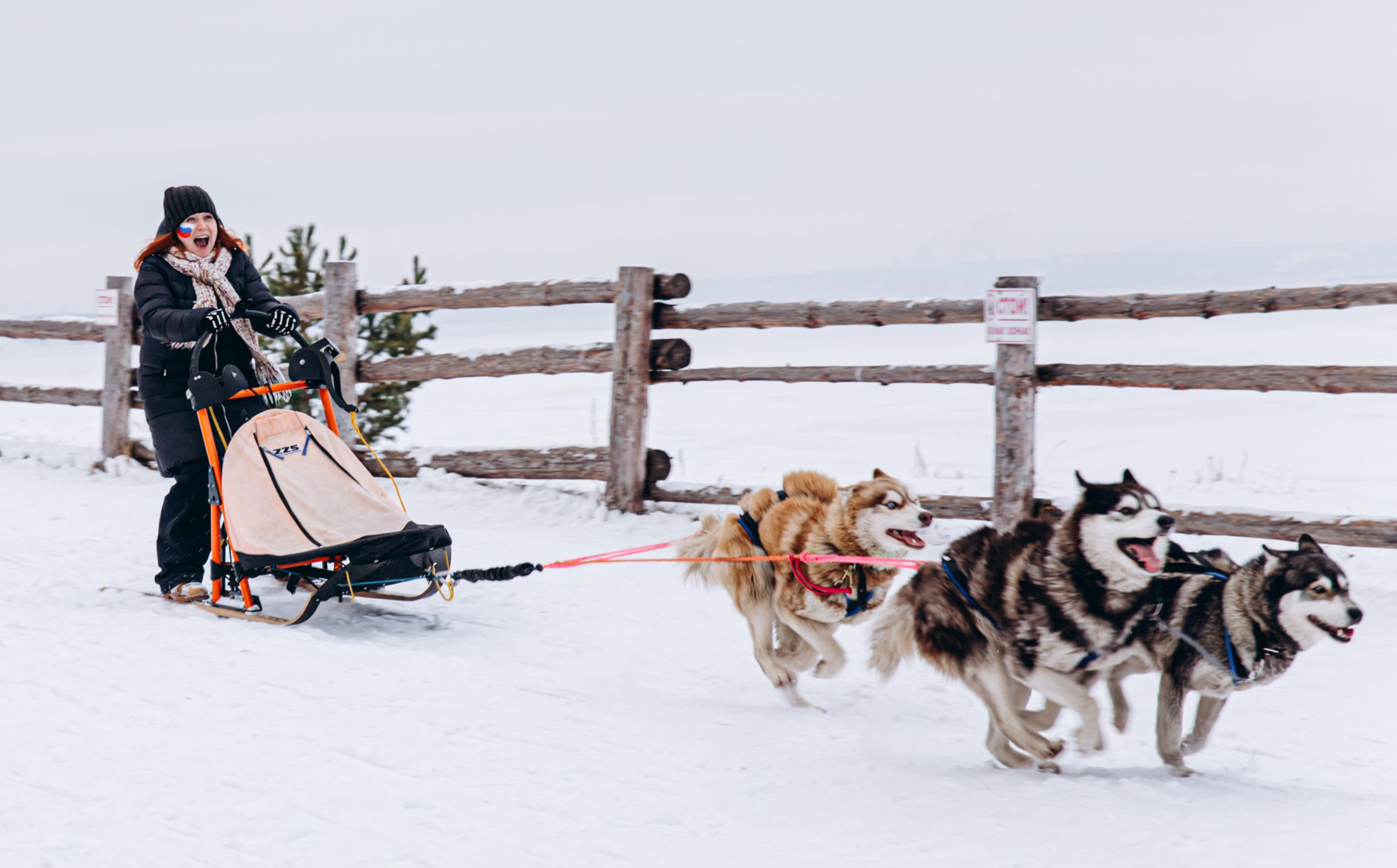 Битва за Аляску